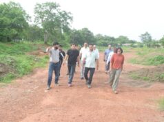 शहरों को हरा-भरा और प्रदूषण मुक्त बनाएगी नमो हरित-नगर योजना,