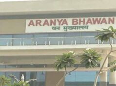 CG में प्रशिक्षु IFS अधिकारियों की पहली फील्ड पोस्टिंग, परख सारडा बने सुकमा के DFO