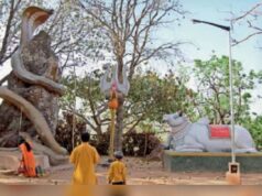 जशपुर की कैलाश गुफा में उमड़ेगा आस्था का सैलाब, हजारों कांवड़िए करेंगे दर्शन; 16 हाथियों ने डाला डेरा