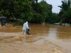 Bastar में डेंजर लेवल के पार इंद्रावती नदी, लगातार बारिश से नदी-नाले उफान पर