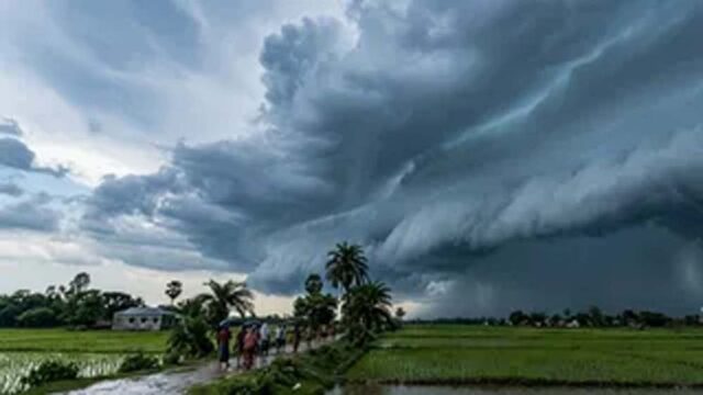 rain_5-3.jpg