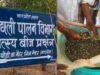 मछली पालन से चमकेगी किसानों की किस्मत, एशिया के बड़े फिश बीज केंद्र ने बेचे 53.28 लाख मत्स्य बीज