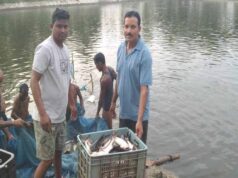 0.40 हेक्टेयर में गुलाब पटेल ने लिखा मछली पालन से समृद्धि का नया अध्याय