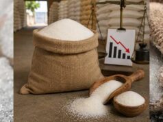 चीनी के एक्स-मिल भाव 20% तक गिरे, दशहरा-दिवाली तक और सस्ती होने की उम्मीद