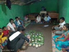बस्तर में नवाखाई तिहार की शुरुआत, इंद्रावती तट पर लगी विशेष सेवा अर्जी