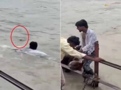 CG में ओवरफ्लो पुल पर फंसी बस, पुलिस ने 70 यात्रियों की बचाई जान