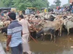मवेशियों को लेकर पहुंचे किसान, रास्ते में ही हुआ समस्या का समाधान