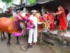 CG में पोला पर्व की धूम, CM विष्णुदेव साय कार्यक्रमों में होंगे शामिल