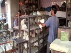 CG में 5 दिन मांस-मटन की बिक्री पर रोक, उल्लंघन करने वालों पर होगी सख्त कार्रवाई