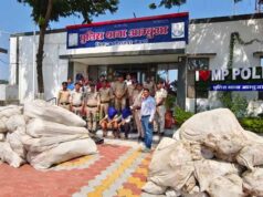 मध्यप्रदेश पुलिस की बड़ी कार्रवाई, अलीराजपुर में 20 क्विंटल गांजे के पौधे जब्त; ₹1 करोड़ की संपत्ति पर एक्शन