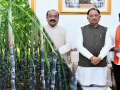गन्ना किसानों के हित में बड़ा निर्णय: अब 425 रुपए प्रति क्विंटल की दर से होगी गन्ने की खरीदी