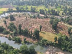 जल संरक्षण से बदलेगी ग्राम दर्री की तस्वीर, 24 लाख 30 हजार लीटर वर्षा जल सहेजने की अनूठी पहल