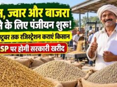 धान, ज्वार और बाजरा उपार्जन के लिए रिकॉर्ड पंजीयन, 10 अक्टूबर तक मिलेगा मौका