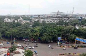 इंदौर में 182 हरे-भरे पेड़ों की कटाई को हाई कोर्ट की सशर्त मंजूरी, हजारों पक्षी होंगे प्रभावित