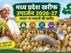 सोयाबीन उपार्जन के लिए किसानों का पंजीयन 3 से 17 अक्टूबर तक