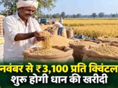 छत्तीसगढ़ के किसानों को बड़ी सौगात, 360 नए धान खरीदी केंद्र खुलेंगे; 15 नवंबर से खरीद शुरू