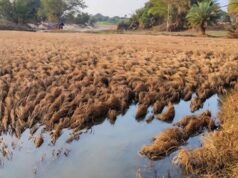 बस्तर में मुआवजे को लेकर भड़के बाढ़ प्रभावित किसान, सर्वे टीम को लौटाया