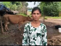 डेयरी व्यवसाय से संध्या बनीं आत्मनिर्भर, दूध की बिक्री से हर महीने हो रही 15 हजार रुपये की बचत
