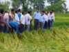 अर्नब तूफान से प्रभावित किसानों को राहत देने सक्रिय हुआ प्रशासन, फसल क्षति का सर्वे शुरू
