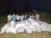 अवैध मादक पदार्थों के विरुद्ध मध्यप्रदेश पुलिस की प्रभावी कार्रवाई जारी